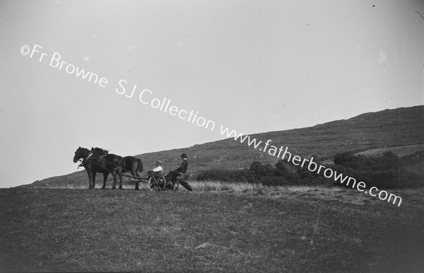 HARVEST TIME ON MOUNT SESKIN : ON THE SKY LINE